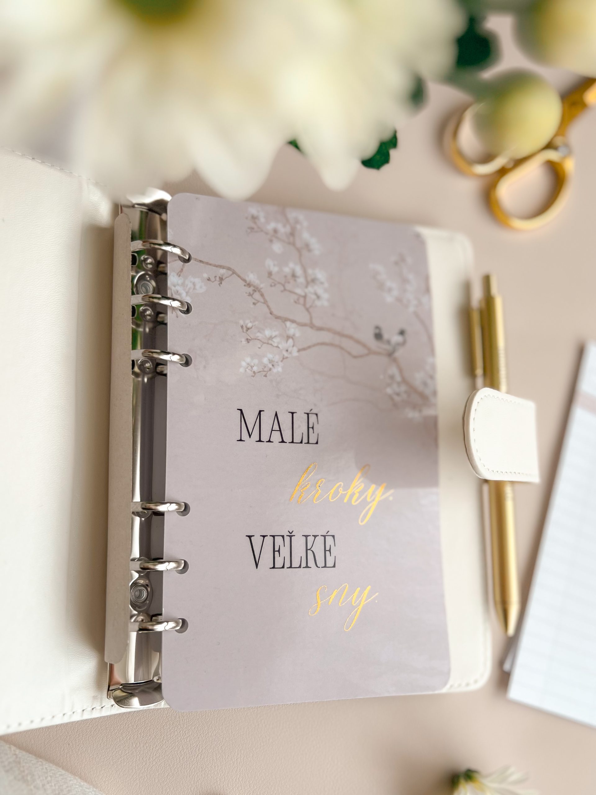 trezorka budget binder Maison Blanche