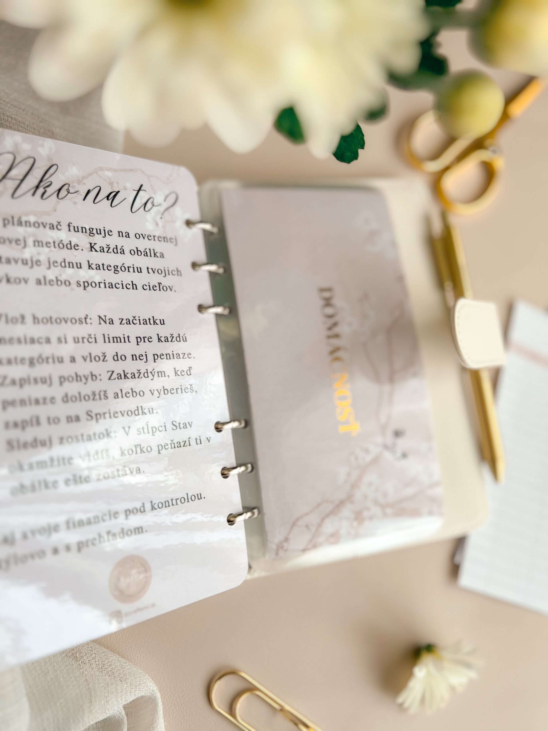 trezorka budget binder Maison Blanche