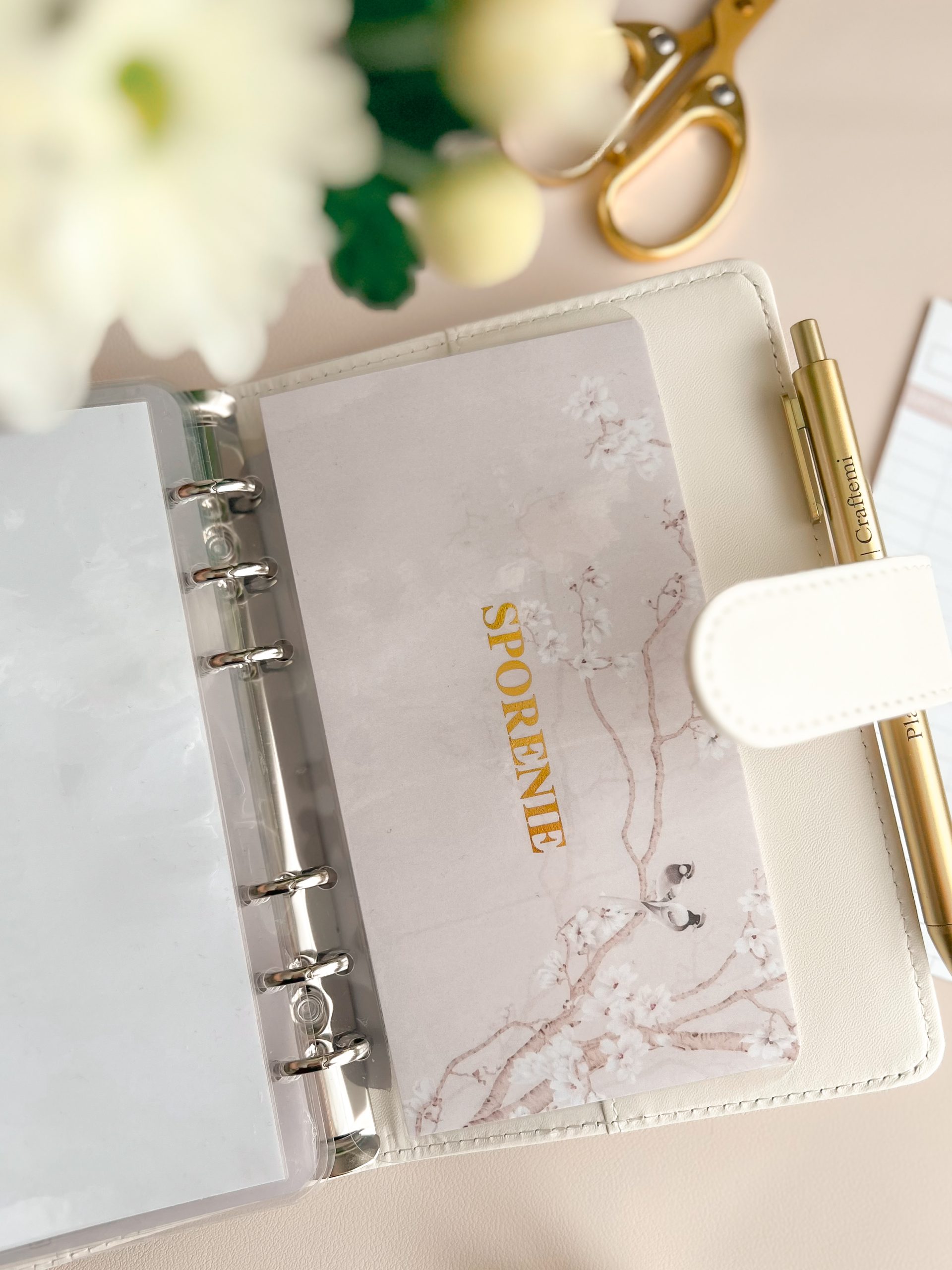 trezorka budget binder Maison Blanche